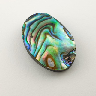 Paua abalone kaboszon 23x16 mm nr 177