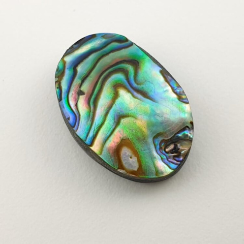 Paua abalone kaboszon 23x16 mm nr 177