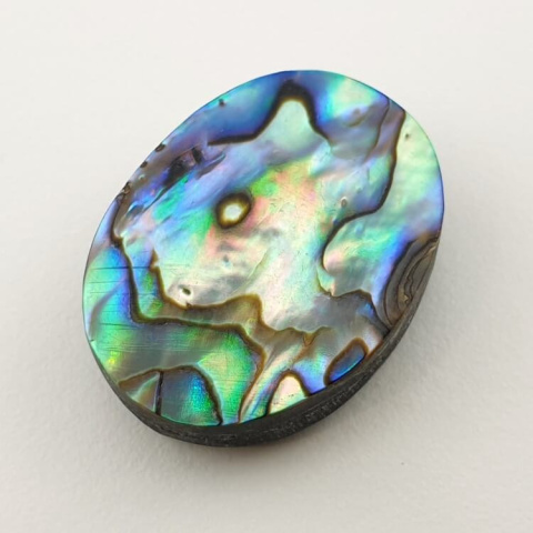 Paua abalone kaboszon 24x18 mm nr 157