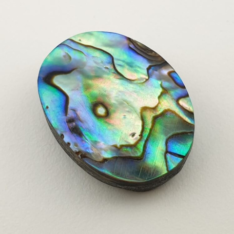 Paua abalone kaboszon 24x18 mm nr 157