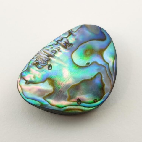 Paua abalone kaboszon 24x18 mm nr 165