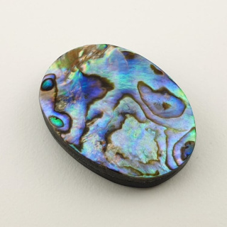 Paua abalone kaboszon 27x20 mm nr 152