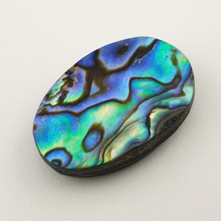 Paua abalone kaboszon 28x18 mm nr 151