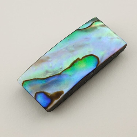 Paua abalone kaboszon 30x13 mm nr 141