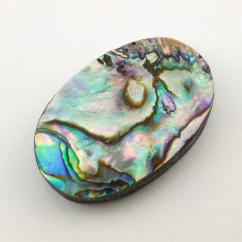 Paua abalone kaboszon 30x20 mm nr 145