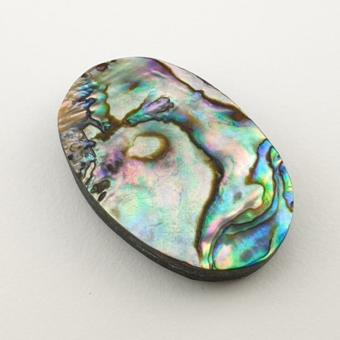 Paua abalone kaboszon 30x20 mm nr 145