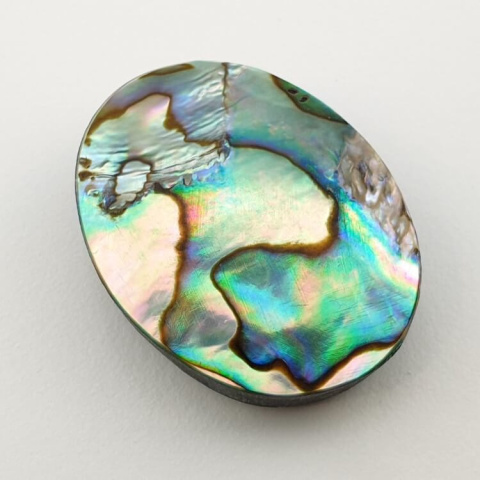 Paua abalone kaboszon 30x23 mm nr 131