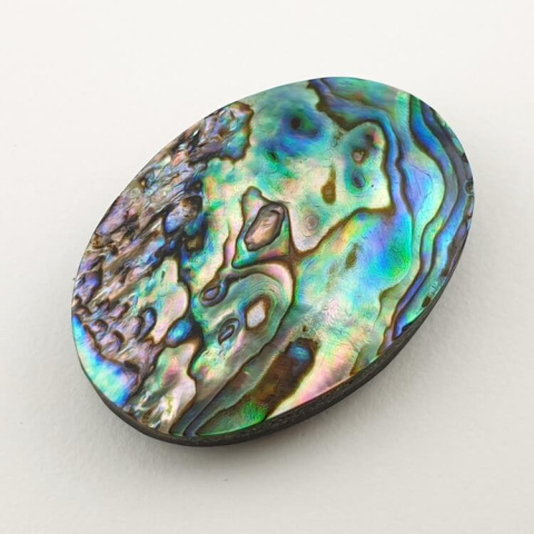 Paua abalone kaboszon 31x21 mm nr 144