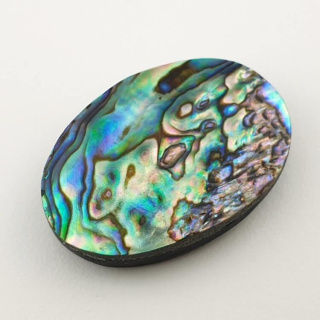 Paua abalone kaboszon 31x21 mm nr 144