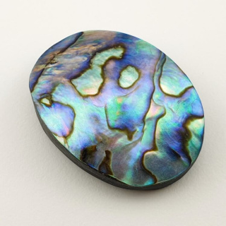 Paua abalone kaboszon 34x25 mm nr 134